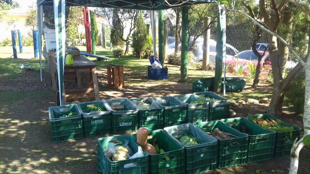 Feira Orgânica no Cantegril Fase 4