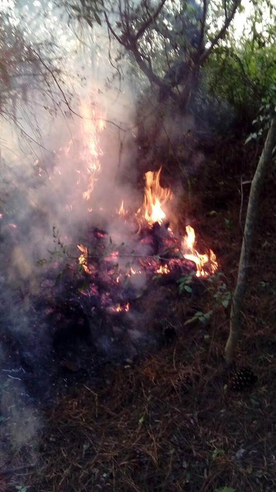 Princípio de Incêndio em Área de Trilha
