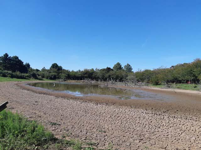 Lago do condomínio será revitalizado