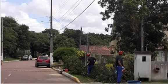 Condomínio fará podas preventivas na rede elétrica